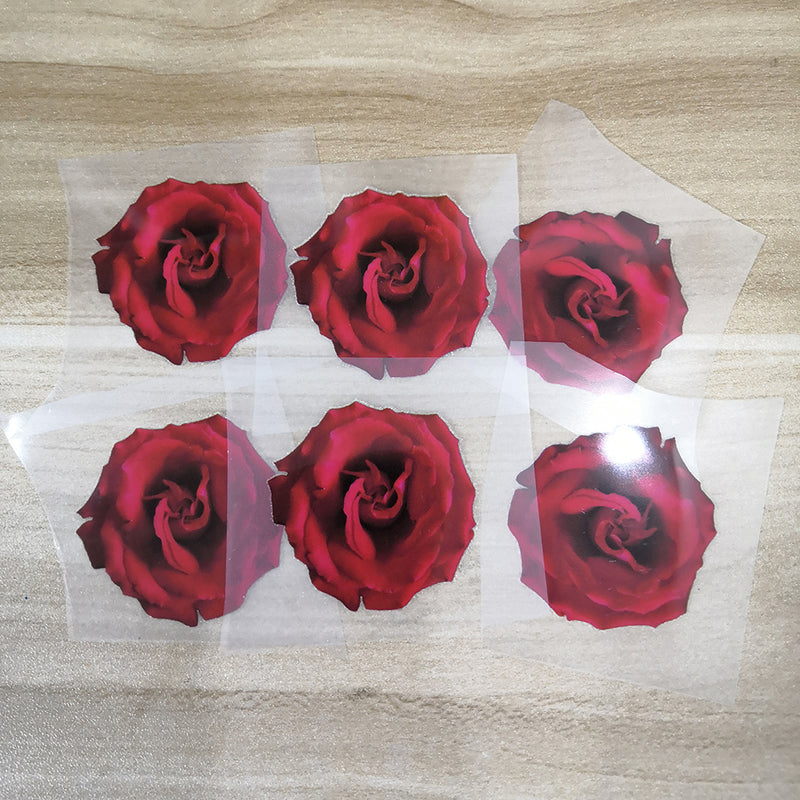 Takashi Murakami Flower Stickers For Custom Floral Vans or AF1